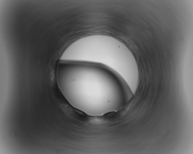 X0000099990380200805231049