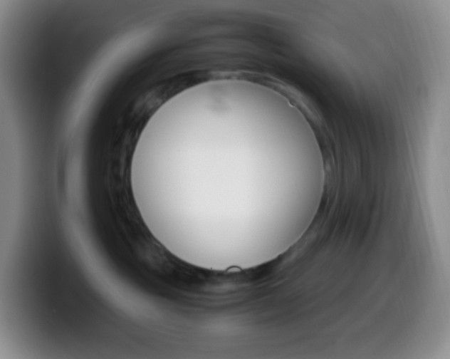 X0000099990381200805231049