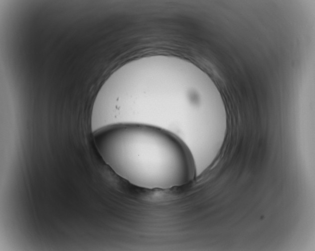 X0000099990382200805231049