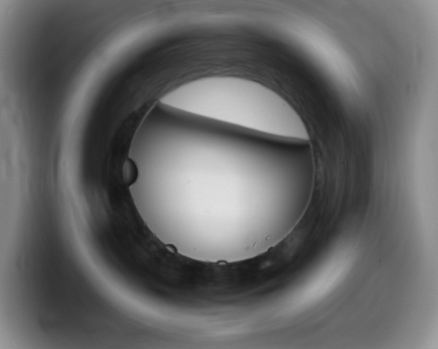 X0000099990383200805231049