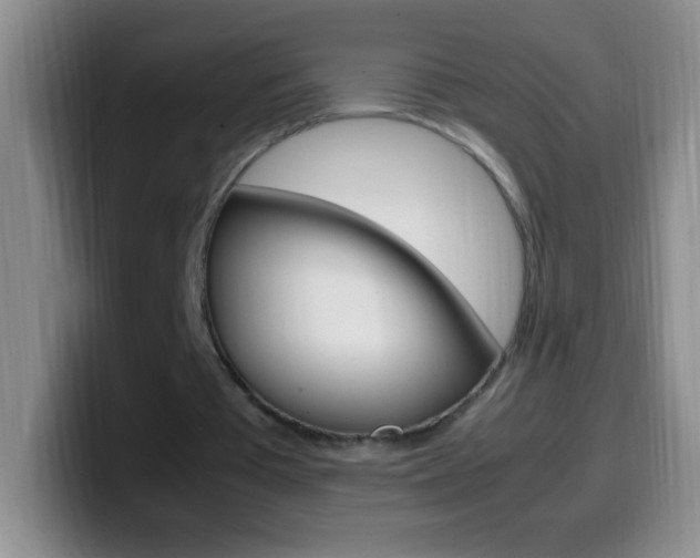 X0000099990385200805231048