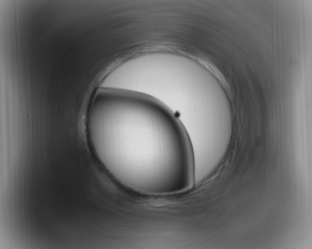 X0000099990389200805231048