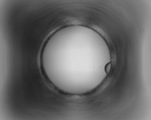 X0000099990390200805231048