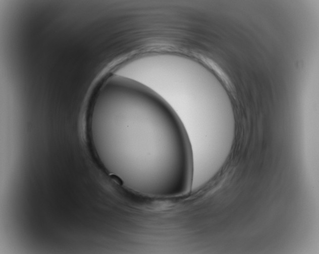 X0000099990391200805231048