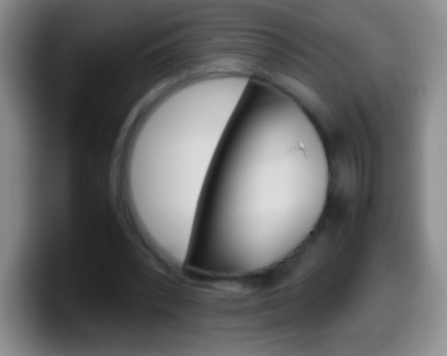 X0000099990392200805231048