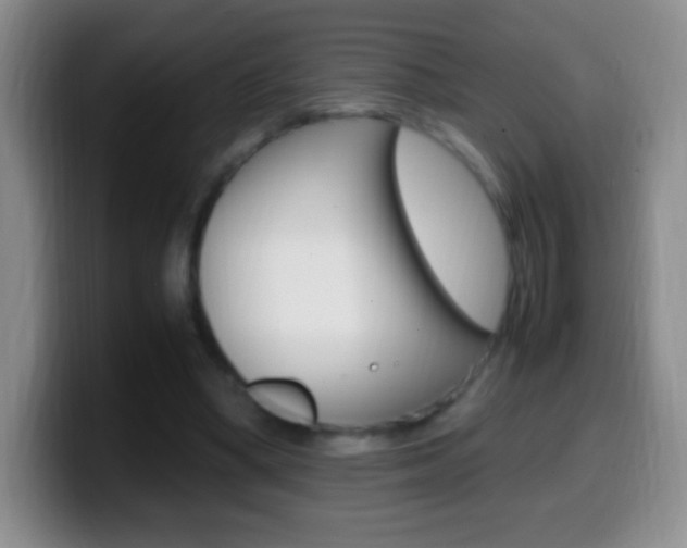 X0000099990394200805231048