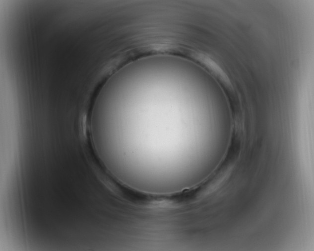 X0000099990397200805231048