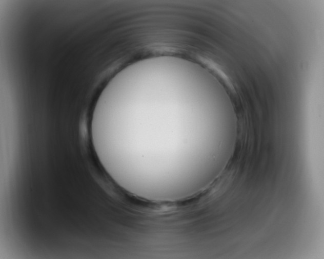 X0000099990398200805231048