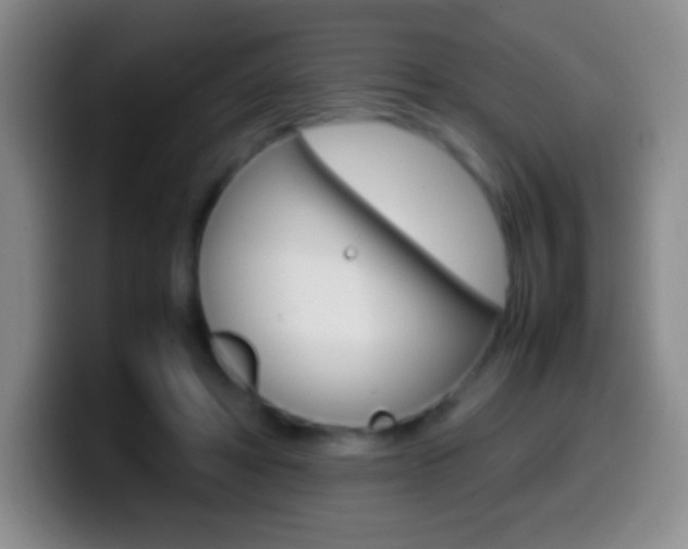 X0000099990402200805231048