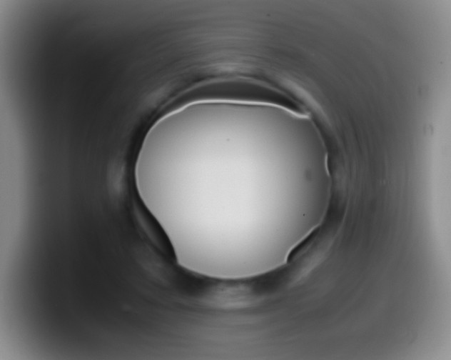 X0000099990403200805231048