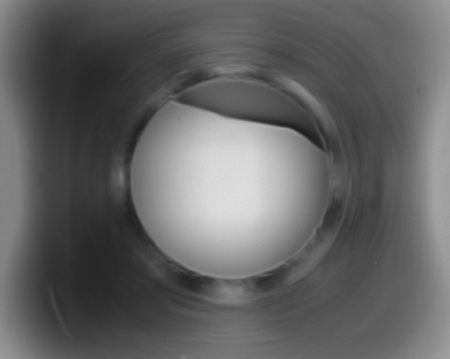 X0000099990405200805231048