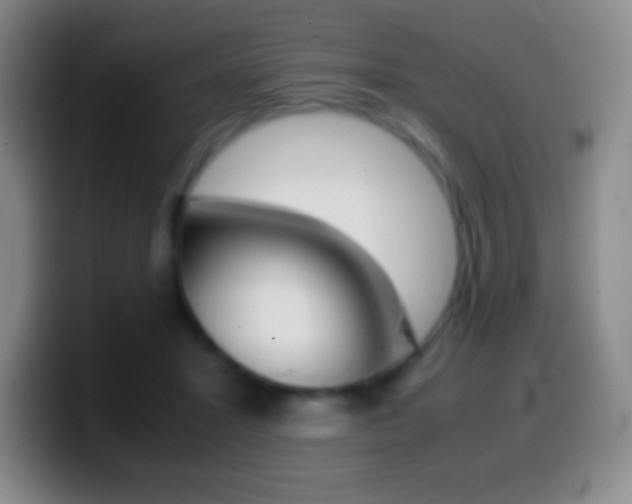 X0000099990407200805231048