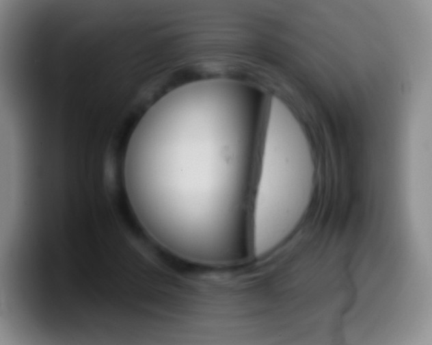 X0000099990408200805231048