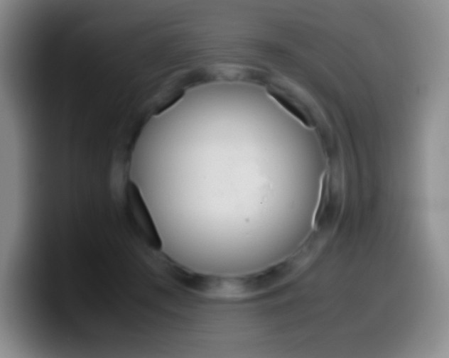 X0000099990409200805231048