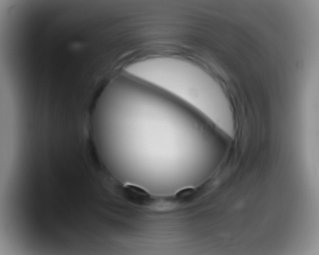 X0000099990413200805231048