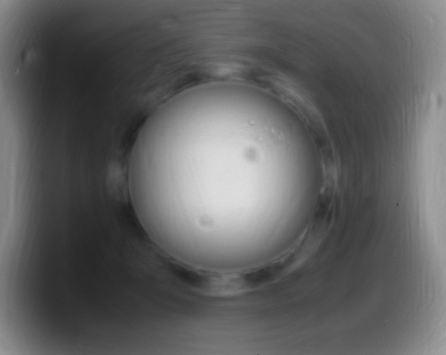 X0000099990415200805231048