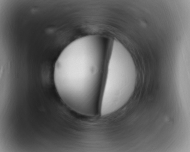 X0000099990416200805231048