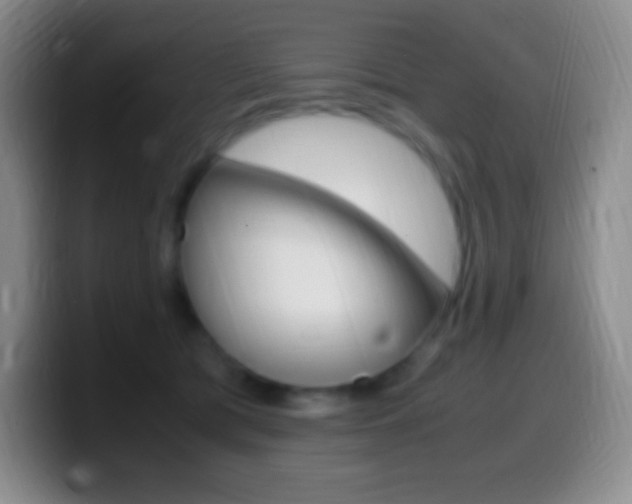 X0000099990417200805231048