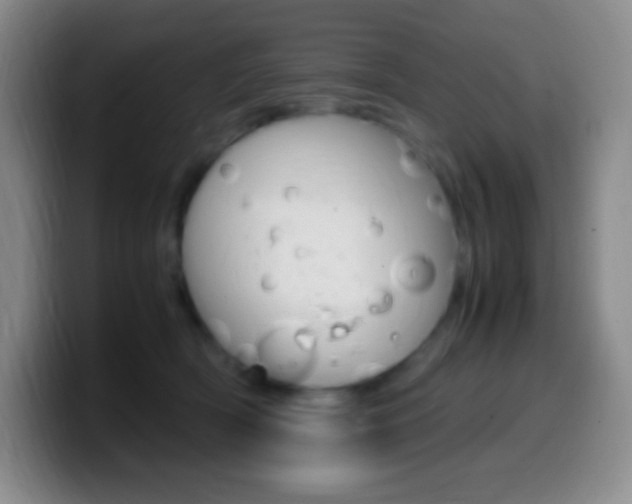 X0000099990418200805231048