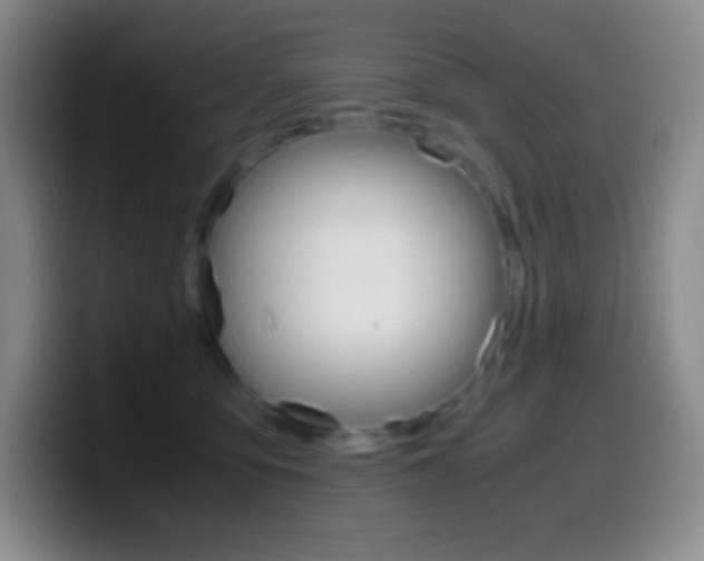 X0000099990419200805231048