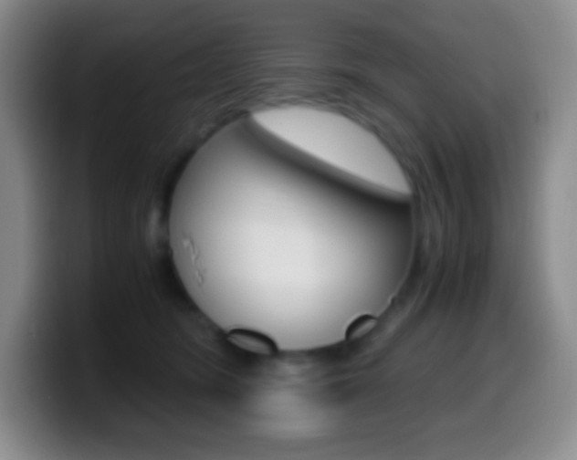 X0000099990420200805231048