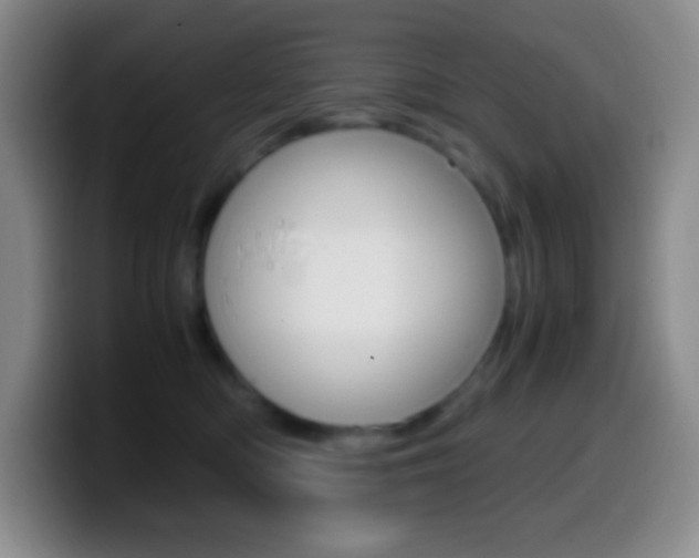 X0000099990422200805231048