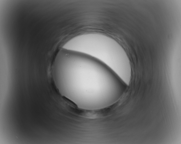 X0000099990423200805231048