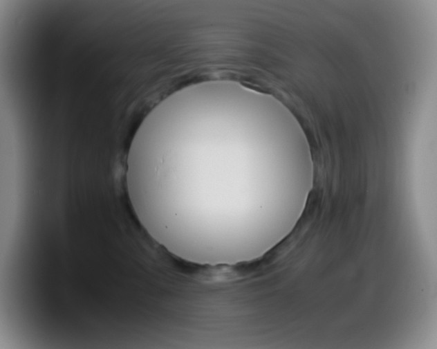 X0000099990427200805231048