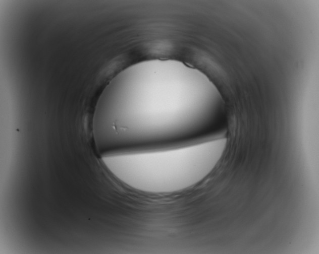 X0000099990428200805231048