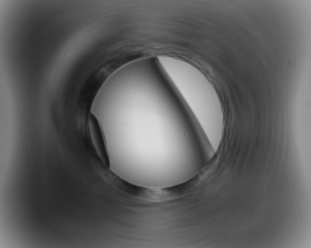 X0000099990429200805231048