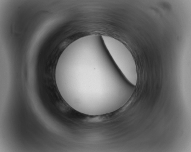 X0000099990430200805231048
