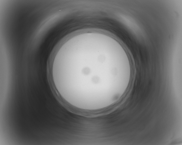 X0000099990431200805231048