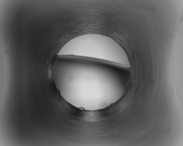 X0000099990432200805231048