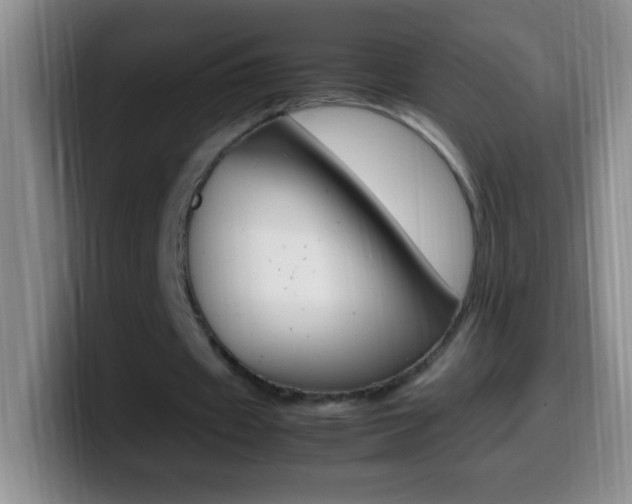 X0000099990433200805231047