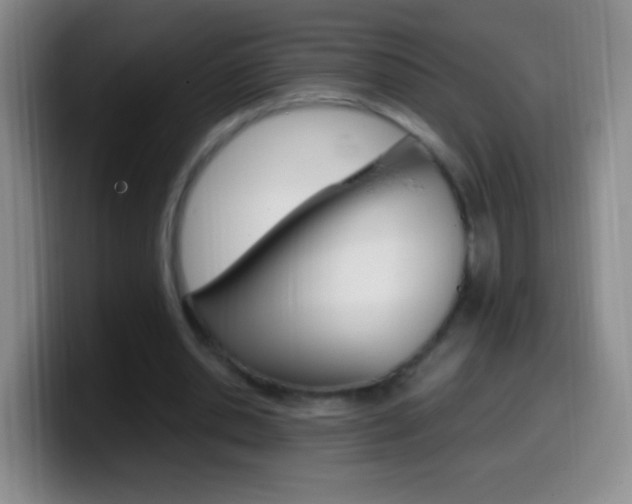 X0000099990438200805231047