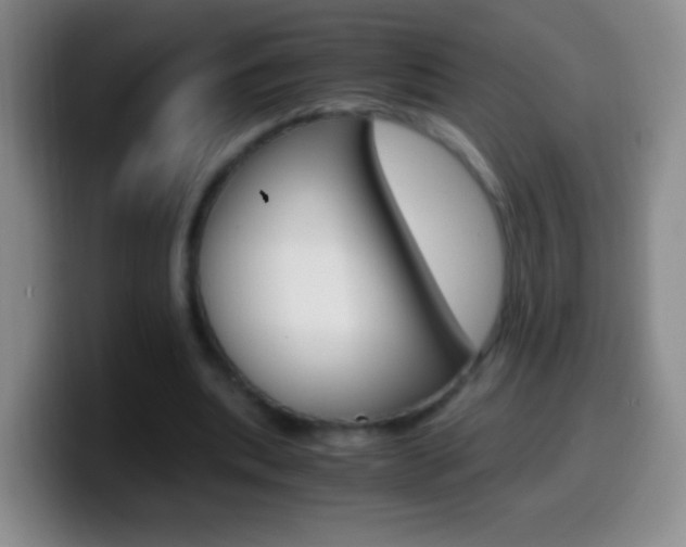 X0000099990439200805231047