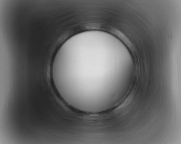 X0000099990441200805231047