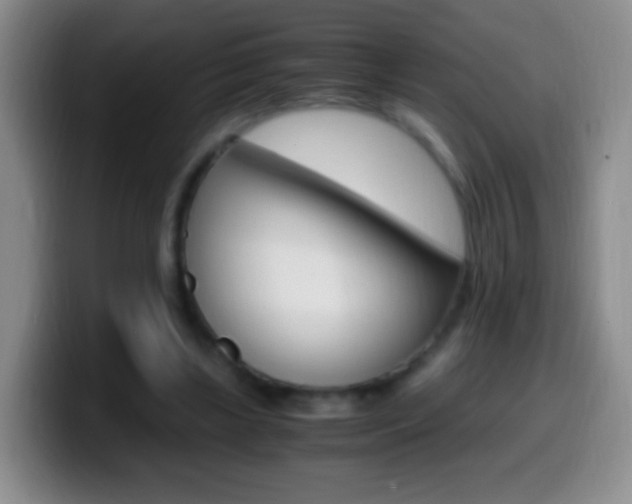 X0000099990443200805231047