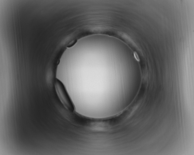 X0000099990448200805231047