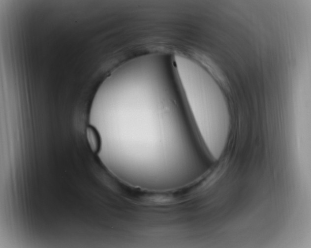 X0000099990449200805231047