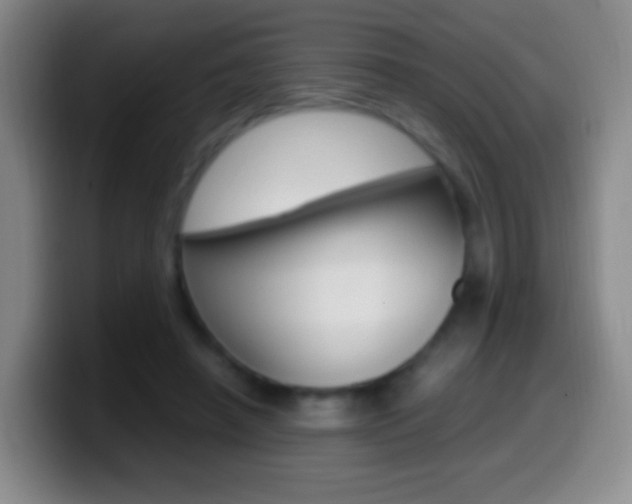 X0000099990450200805231047