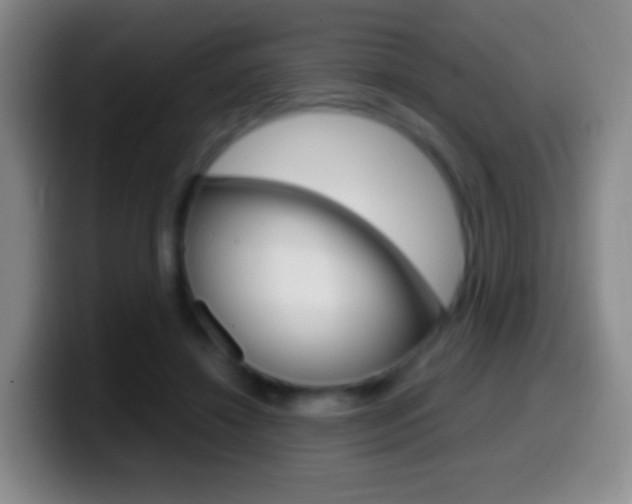 X0000099990452200805231047