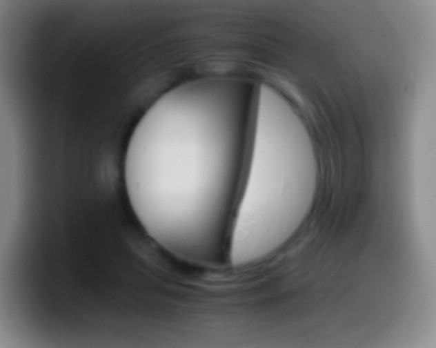 X0000099990455200805231047