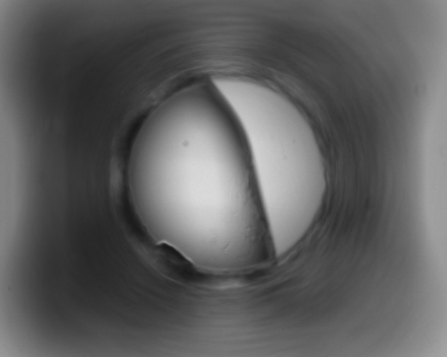 X0000099990456200805231047