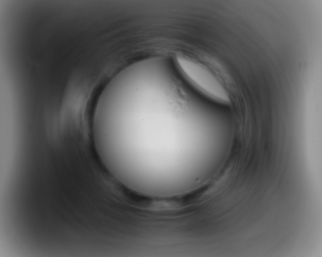 X0000099990457200805231047
