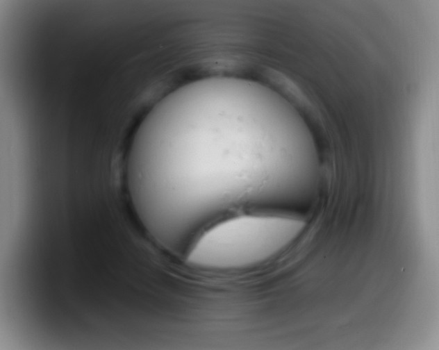 X0000099990458200805231047