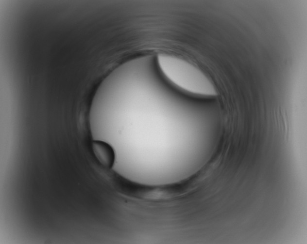 X0000099990460200805231047
