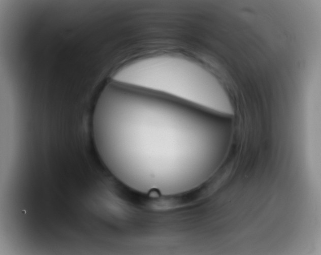 X0000099990461200805231047