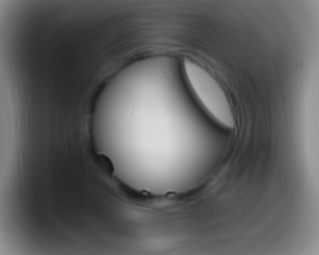 X0000099990462200805231047