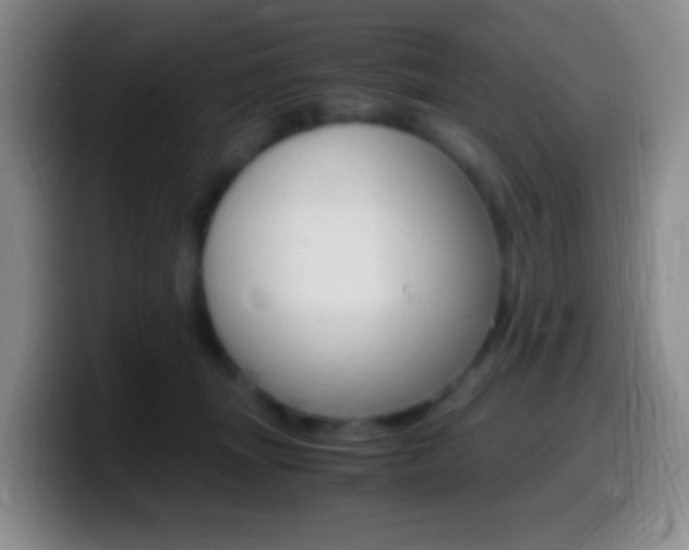 X0000099990463200805231047